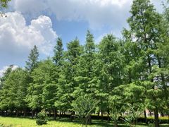 -复旦大学附属眼耳鼻喉科医院(浦江院区)