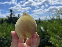 -郴州特产舜华临武鸭(郴州西站店)