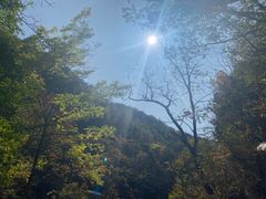-本溪汤沟绿石谷森林公园