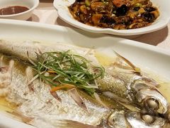 -天福苑(崇宁路店)