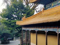 -普陀山风景名胜区-法雨禅寺