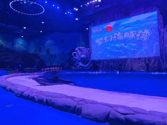 -华夏文旅海洋公园