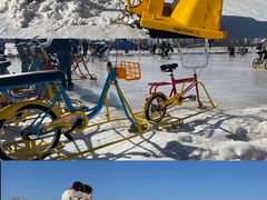 -绿野森林乐园冰雪季