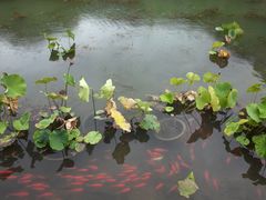 -桑干河大峡谷旅游区