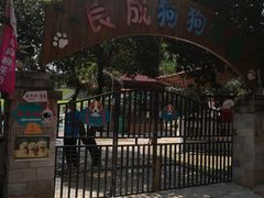 -良成狗狗乐园