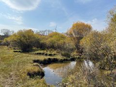 -塞罕坝国家级自然保护区