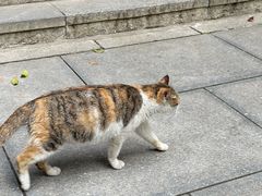 -宝通禅寺