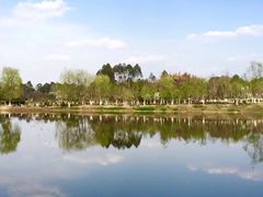 -白鹭湾湿地公园