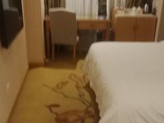 -维也纳酒店(成都春熙路李家沱地铁站店)