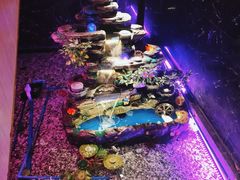 -辣螃铠盆盆蟹大排档(海昌店)