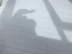 -四姑娘山阿巴郎·藏式花园餐厅