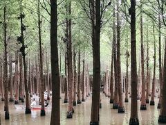 -捞渔河湿地公园