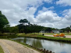 -太湖饭店玉兰厅(自助餐厅)