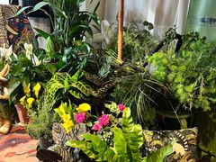 -Thai Basil罗勒叶泰式餐厅(时代天街店)