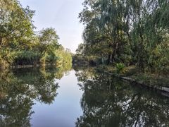 -溱湖国家湿地公园