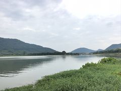 -风云岭森林公园