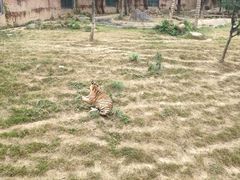 -无锡动物园·太湖欢乐园