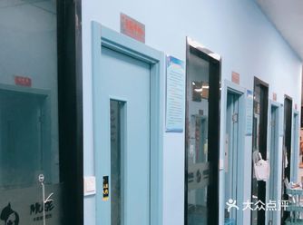 今天天气阴天️转小雨，闲来没事就来宠物医院看看猫