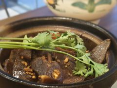 -绿柠食堂(北外滩店)