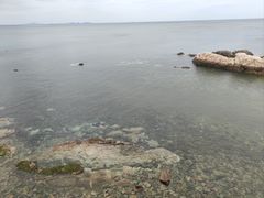 -养马岛旅游度假区