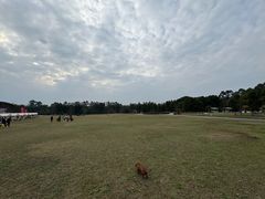 -中国天府农业博览园