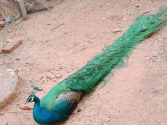 -昆明动物园