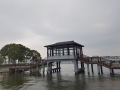 -鹅湖玫瑰文化园