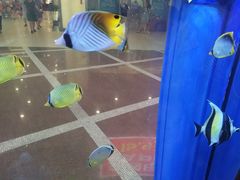 -保利MALL(天鹅湖店)