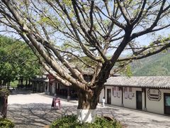-白帝城·瞿塘峡景区