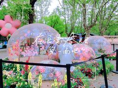 -上海共青森林公园