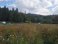 -武陵山森林公园