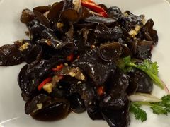 -百利鸽王(紫薇路店)