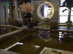 -上水温泉养生会所