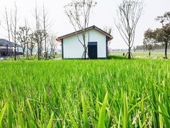 -嘉北郊野公园