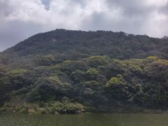 -广州市石门国家森林公园