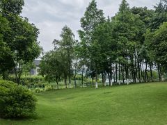 -洋湖国家湿地公园