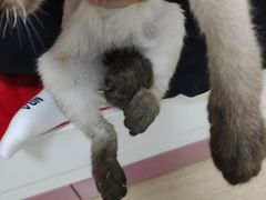 -哈尔滨道外花鸟鱼市场