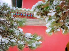 -天坛公园