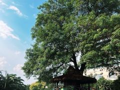 -绿城千岛湖喜来登度假酒店
