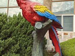 -大连森林动物园