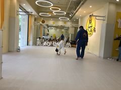 -勇气斑马·巴西柔术&跆拳道(浦东三林店)