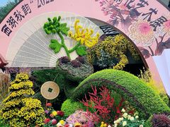 -杭州植物园