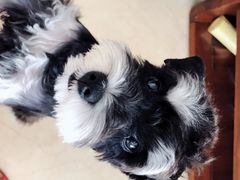 -乐宠宠物店(世纪金源店)