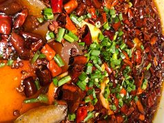 -陈麻婆豆腐总店