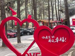 -小小饭店·休闲农庄·安吉松树林里的农家菜