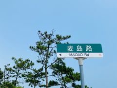 -小麦岛公园