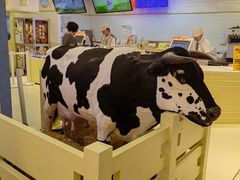 -红星前进面包牛奶公司(君太店)