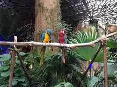 -杭州开元森泊度假乐园