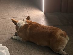 -星巴克臻选(南京艾尚天地店)