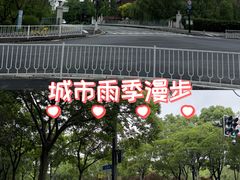 -新江湾城公园